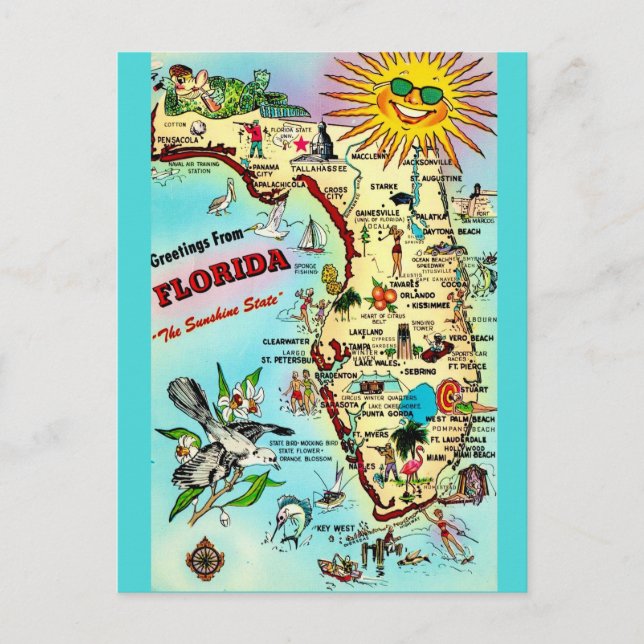 Colorful Retro Florida Postcard  (Front)