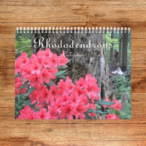 Colorful Rhododendrons Floral Photographic Calendar