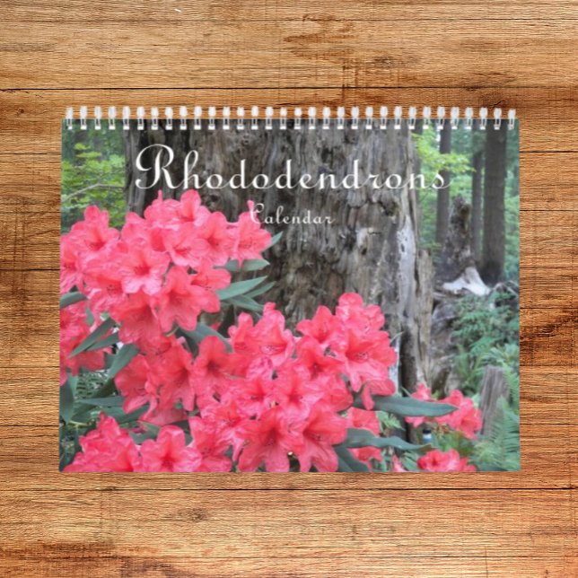 Colorful Rhododendrons Floral Photographic Calendar (In Situ)