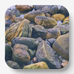 Colorful rocks    paper plates