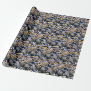 Colorful rocks wrapping paper