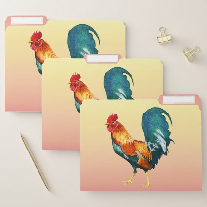 Colorful Rooster Bird File Folder Set