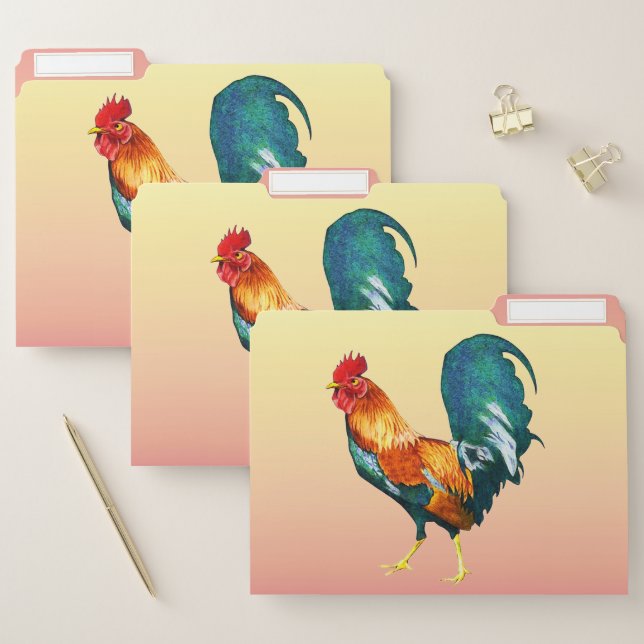 Colorful Rooster Bird File Folder Set (Set)