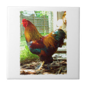 Colorful Rooster Ceramic Tile