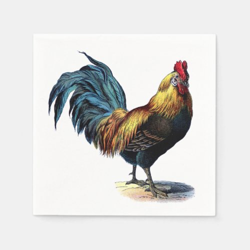 Colorful Rooster Country Chicken Vintage Picture Napkins
