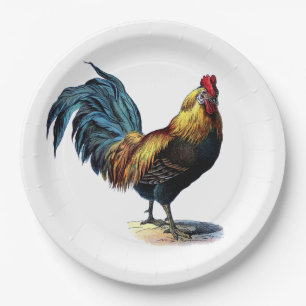 Colorful Rooster Country Chicken Vintage Picture Paper Plates