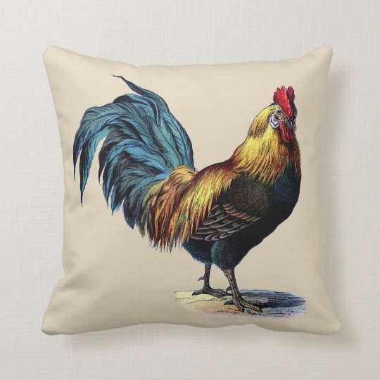 Colorful Rooster Country Chicken Vintage Picture Throw Pillow