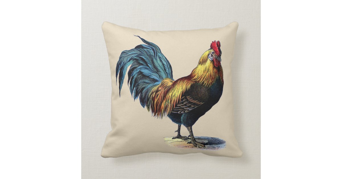 Colorful Rooster Country Chicken Vintage Picture Throw Pillow