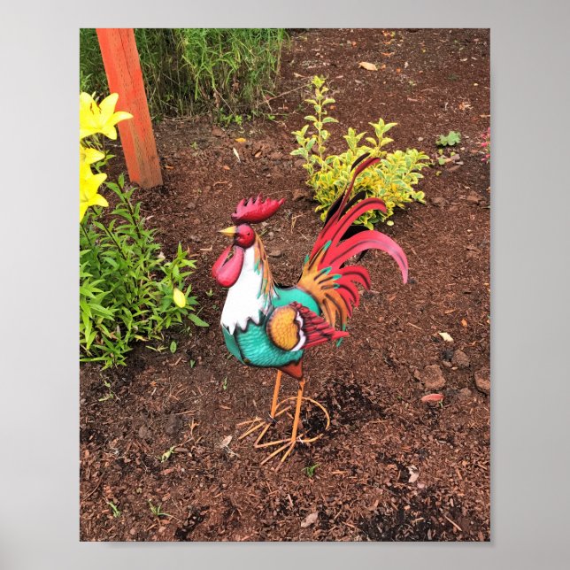 Colorful Rooster in the Yard Poster (Front)