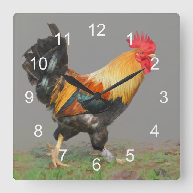 Colorful Rooster, Nature's Alarm Square Wall Clock (Front)