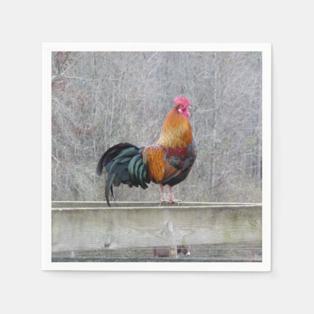 Colorful Rooster On Paper Napkins (Front)