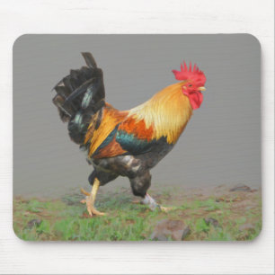 Colorful Rooster Painting Mouse Pad