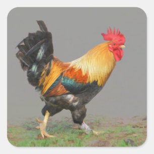 Colorful Rooster Painting Square Sticker