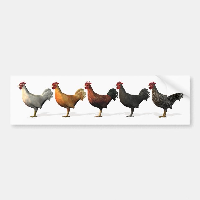 Colorful Roosters Bumper Sticker (Front)