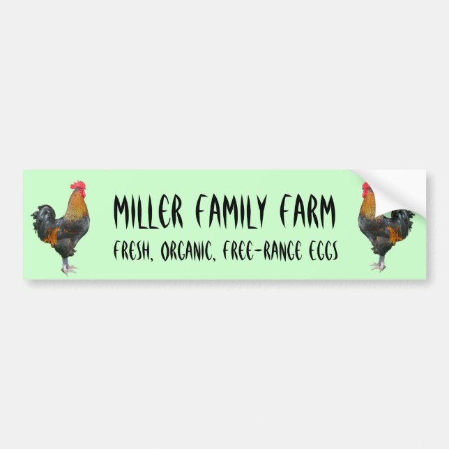 Colorful Roosters Bumper Sticker (Front)