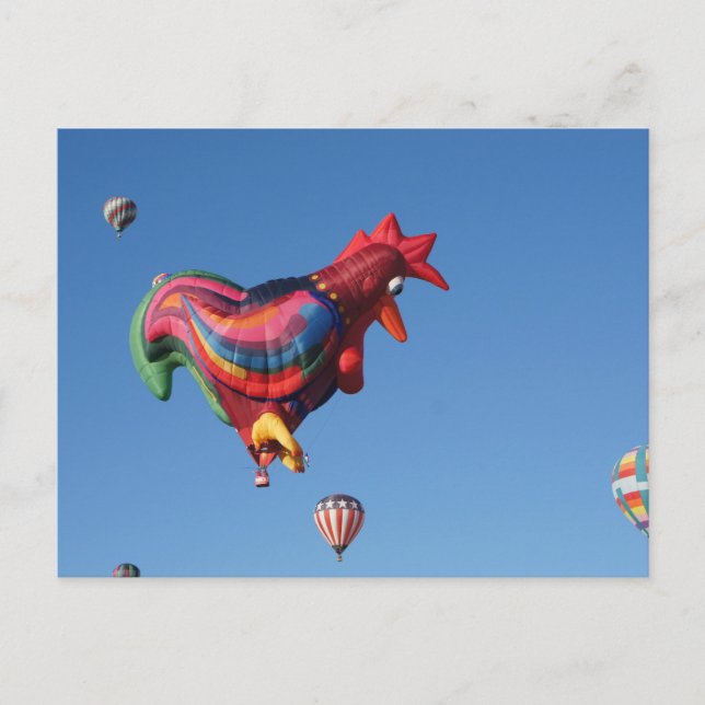 Colorful Roostesr Postcard (Front)