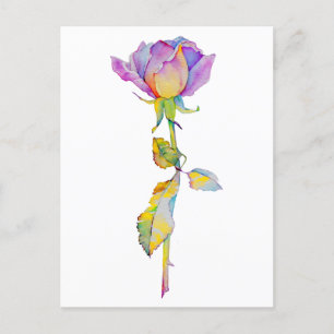 Colorful Rose Anytime Card