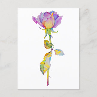 Colorful Rose Anytime Card