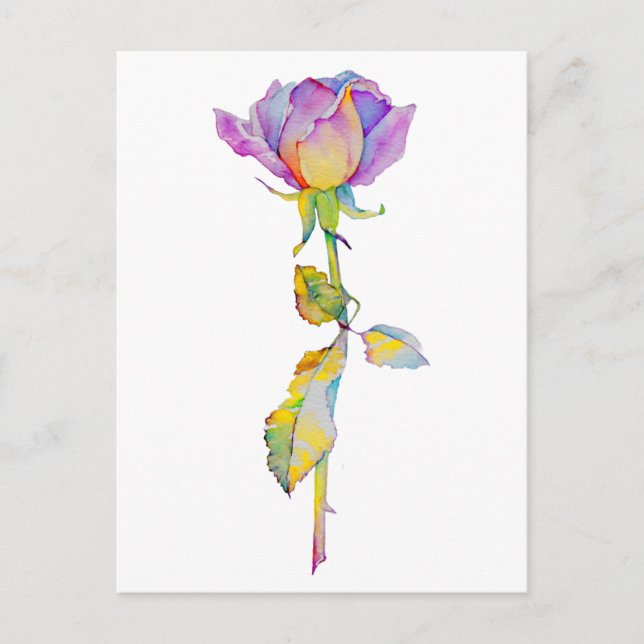 Colorful Rose Anytime Card (Front)