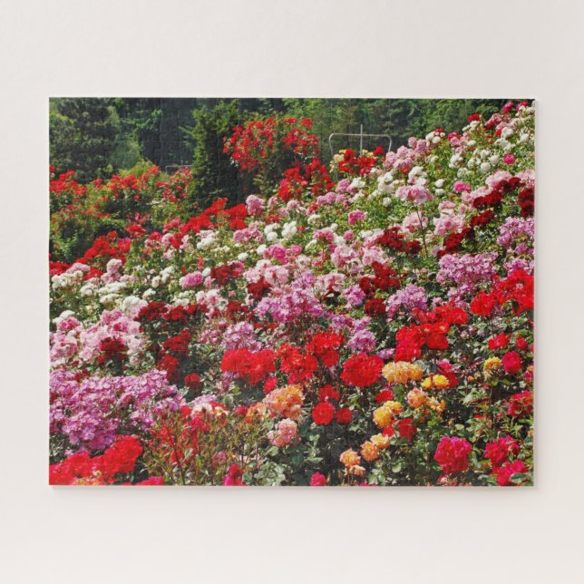 Colorful rose garden jigsaw puzzle (Horizontal)