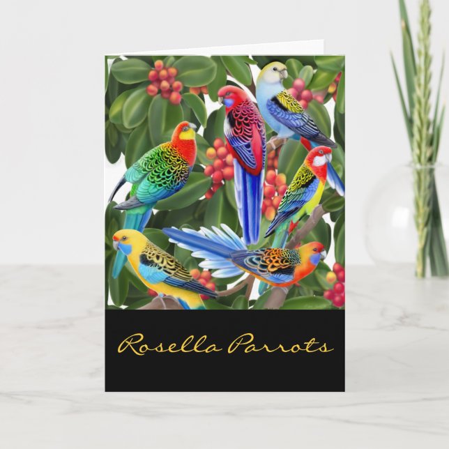 Colorful Rosella Parrots Card (Front)