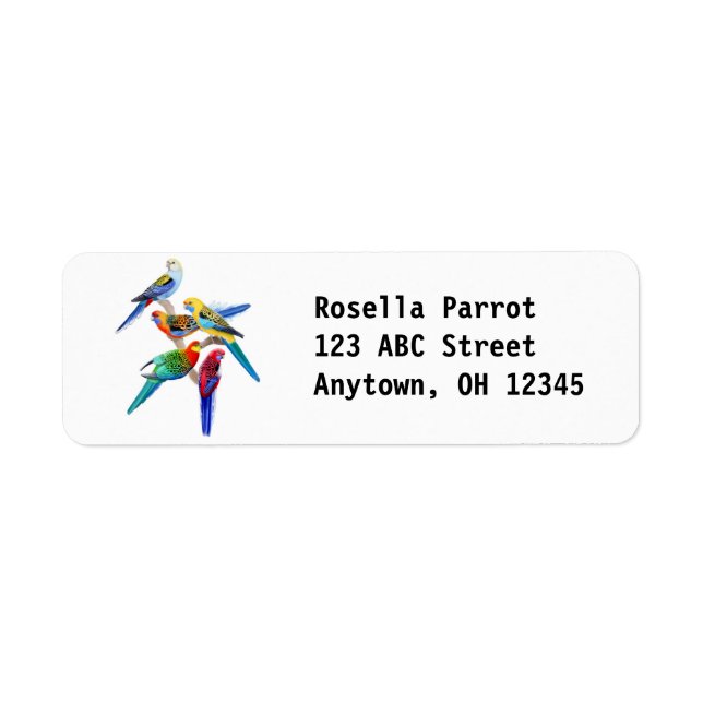 Colorful Rosella Parrots Label (Front)