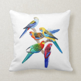 Colorful Rosella Parrots Pillow