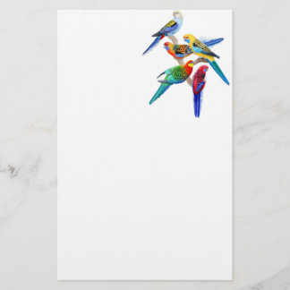 Colorful Rosella Parrots Stationery