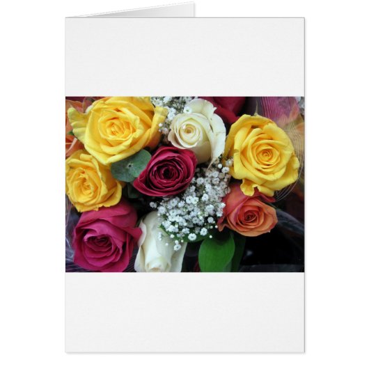 Colorful Roses (Front)