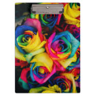 Colorful roses