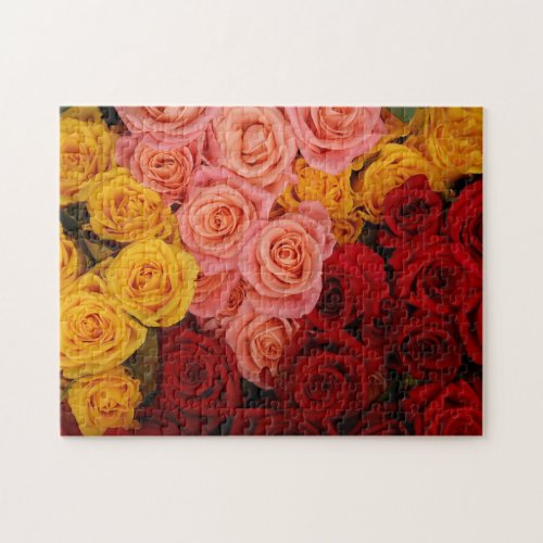 Colorful Roses Jigsaw Puzzle