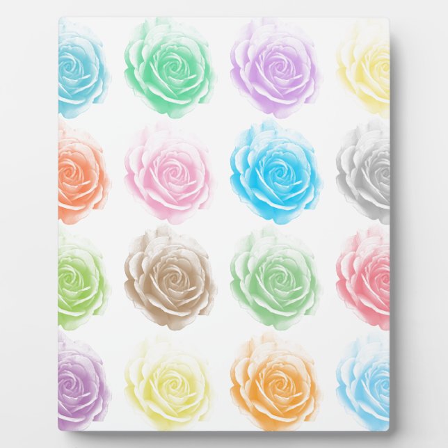 Colorful roses pattern plaque (Front)