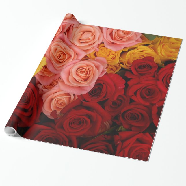 Colorful Roses Wrapping Paper (Unrolled)