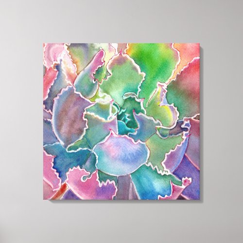 Colorful rosette succulent watercolor canvas print