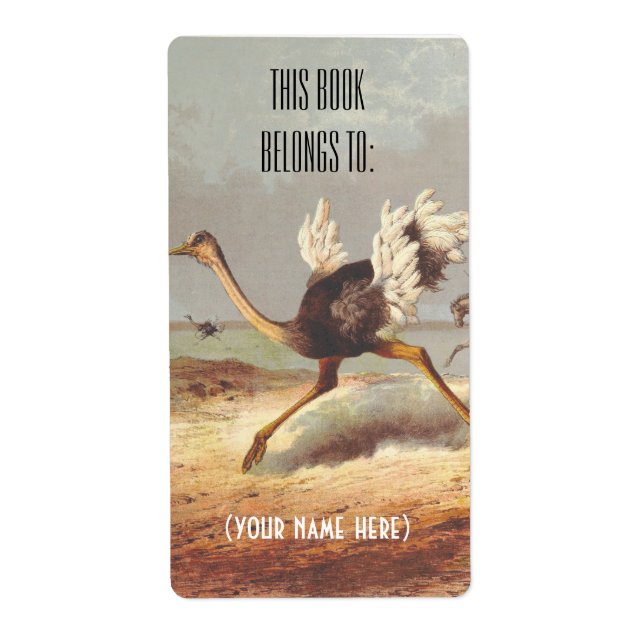 Colorful running ostrich illustration bookplate (Front)