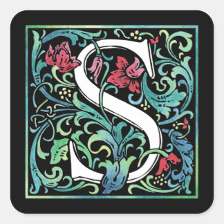 Colorful S sticker