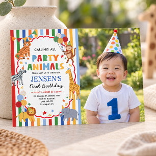 Colorful Safari Party Animals Boy Birthday Photo Invitation