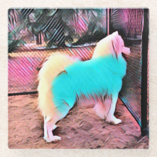 Colorful Samoyed glass coaster