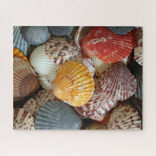 Colorful Scallops Jigsaw Puzzle