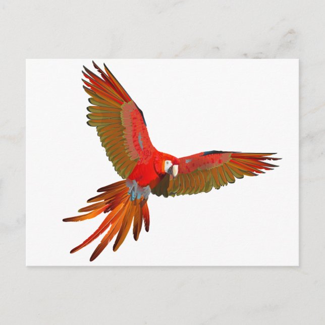 Colorful Scarlet macaw fly art Postcard (Front)
