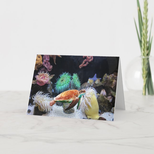Colorful Sea life Note Card (Front)