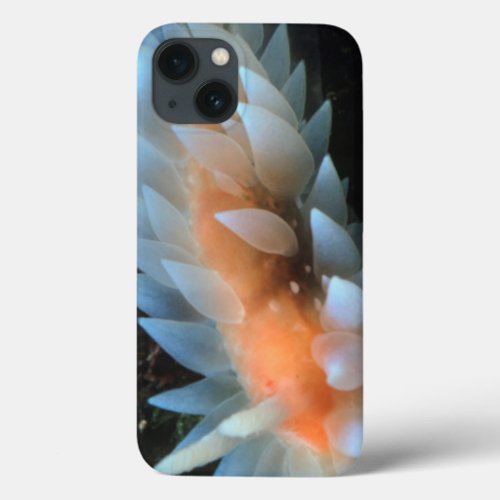 Colorful Sea Slug Sitting On The Surface iPhone 13 Case