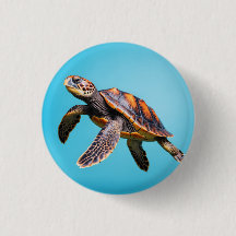 Colorful Sea Turtle Swimming Underwater