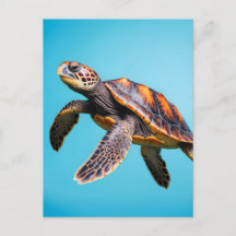 Colorful Sea Turtle Swimming Underwater