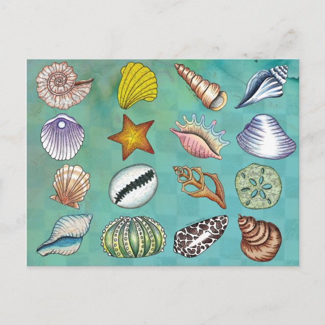 Colorful Seashell Postcard (Front)