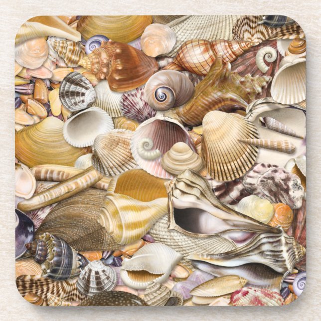 Colorful Seashells Coasters (Front)