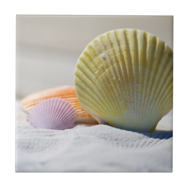 Colorful Seashells in the Sand Ceramic Tile (Front)