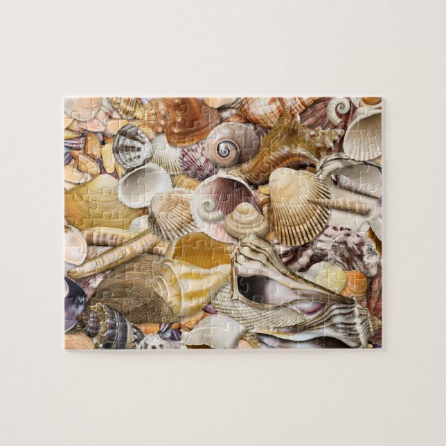 Colorful Seashells Puzzle (Horizontal)