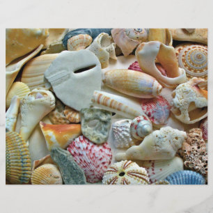 Colorful Seashells Scrapbook Pages Craft Paper