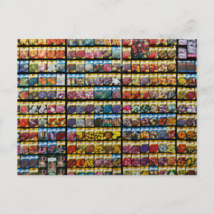 Colorful Seed Packet Postcard